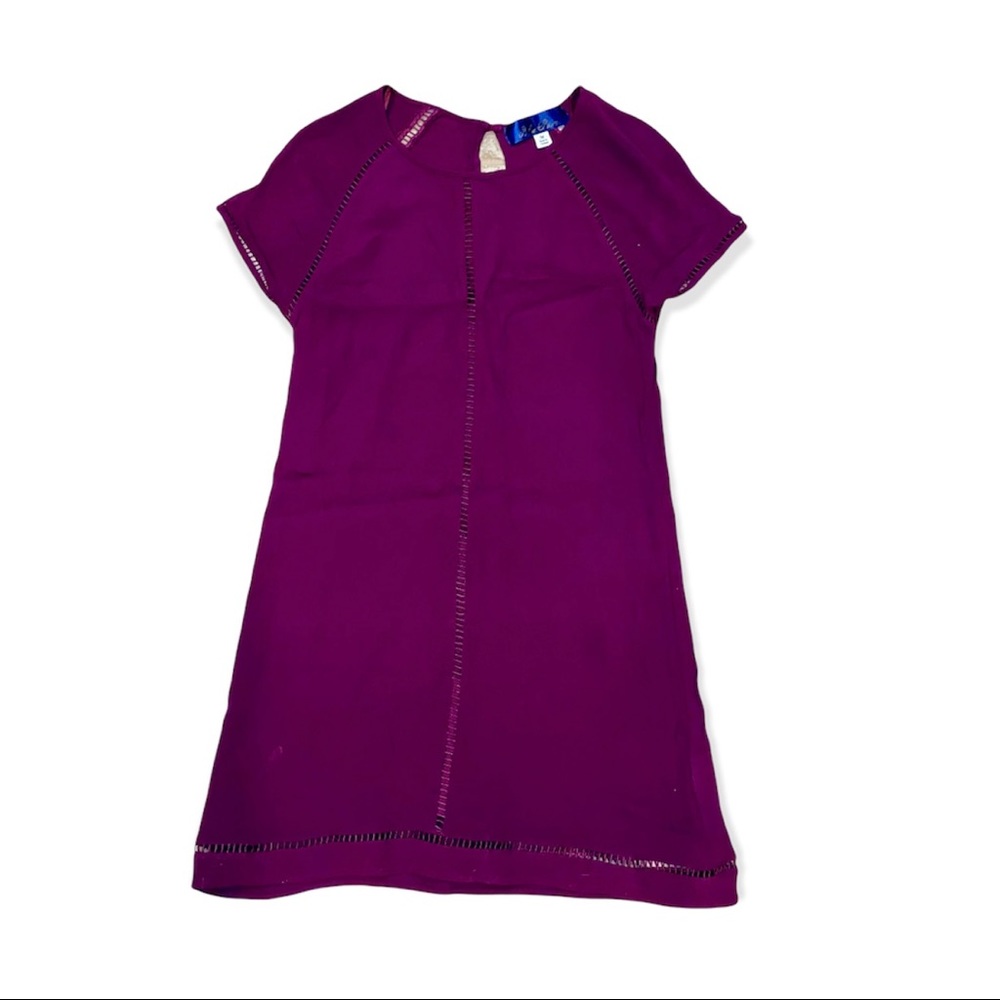 Women’s Purple Francesca’s Dress